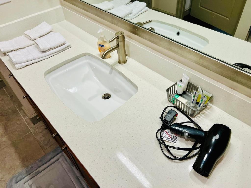 Downtown Apt Free Parking - Pool - Gym - Fully Kitchen 休斯敦 外观 照片